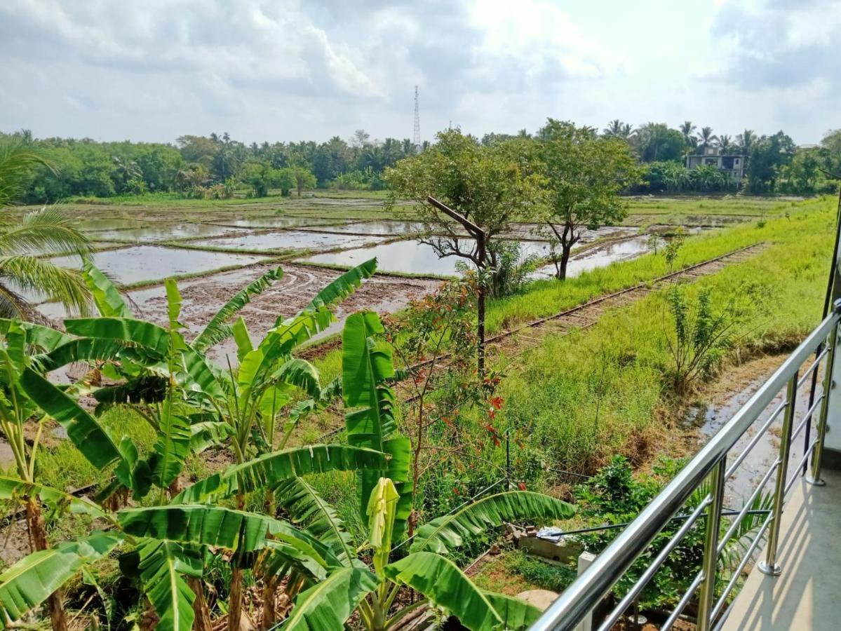Freedom Of Green Rice View أنرادابورام المظهر الخارجي الصورة