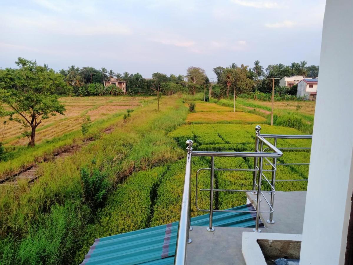 Freedom Of Green Rice View أنرادابورام المظهر الخارجي الصورة