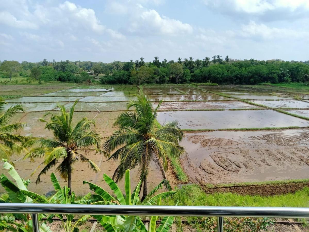 Freedom Of Green Rice View أنرادابورام المظهر الخارجي الصورة