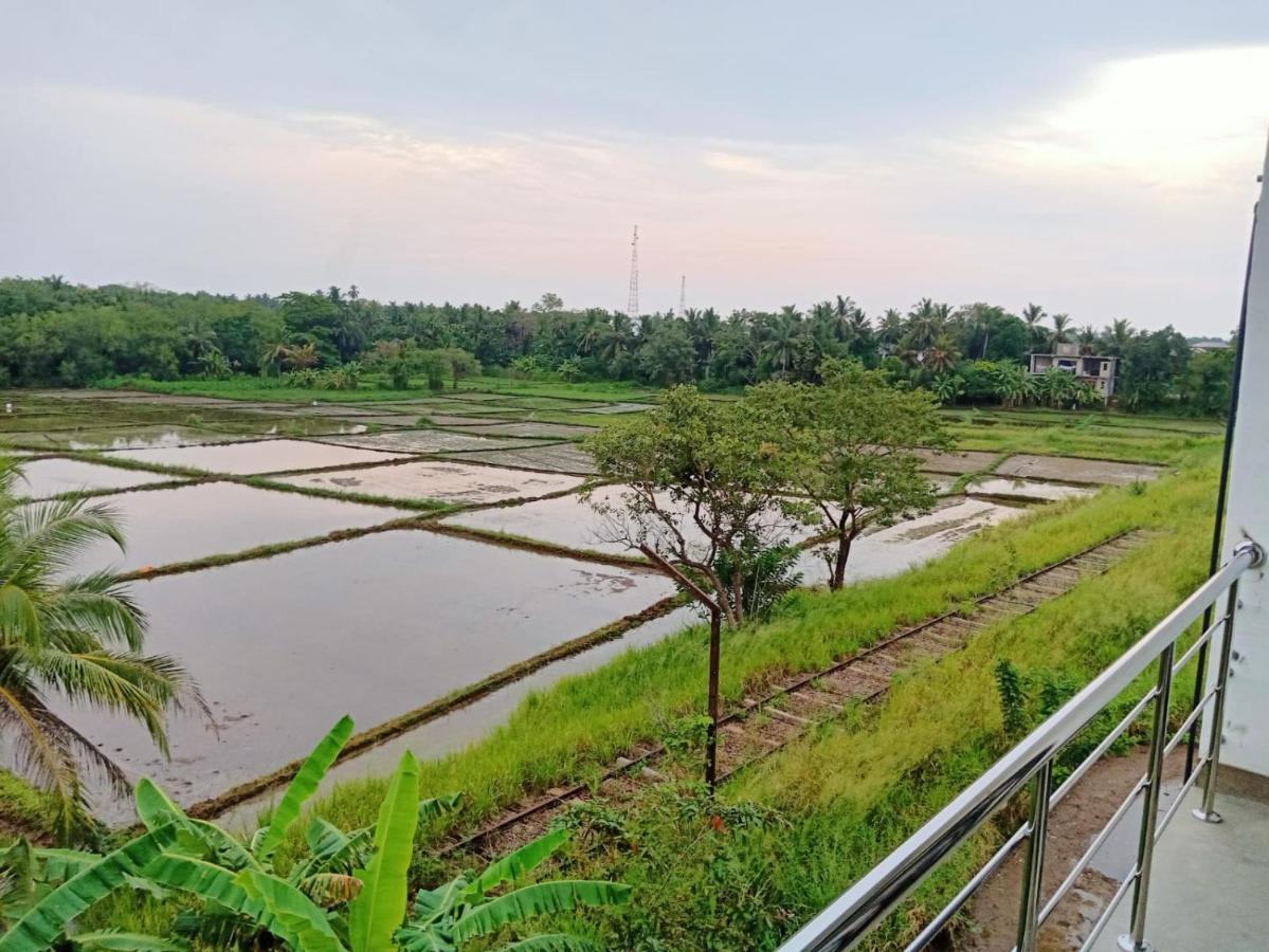 Freedom Of Green Rice View أنرادابورام المظهر الخارجي الصورة
