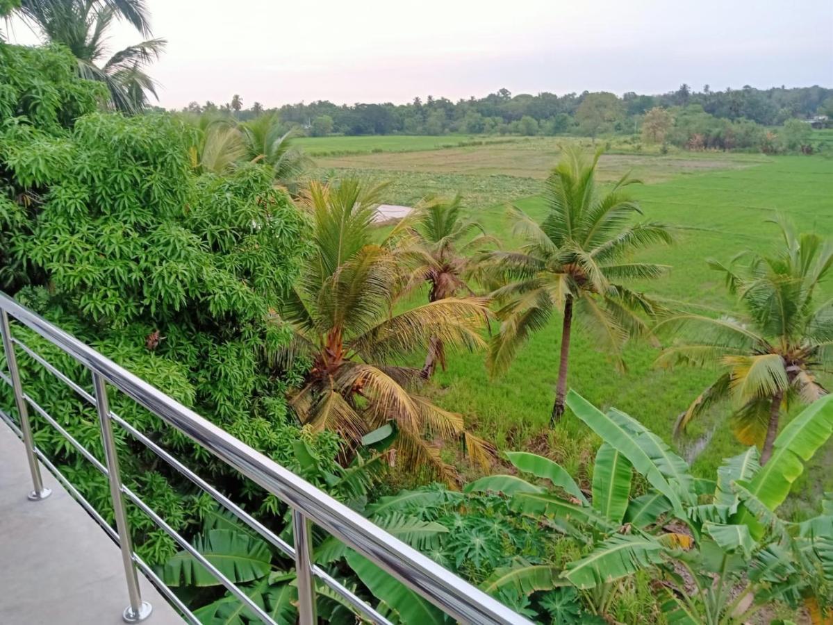 Freedom Of Green Rice View أنرادابورام المظهر الخارجي الصورة